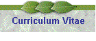 Curriculum Vitae