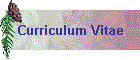 Curriculum Vitae