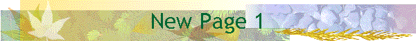 New Page 1