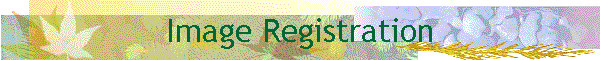 Image Registration