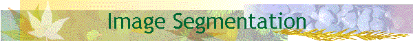 Image Segmentation