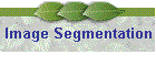 Image Segmentation