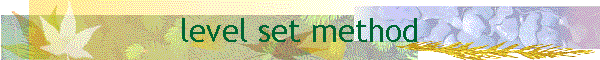 level set method