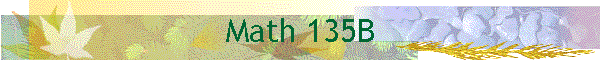 Math 135B